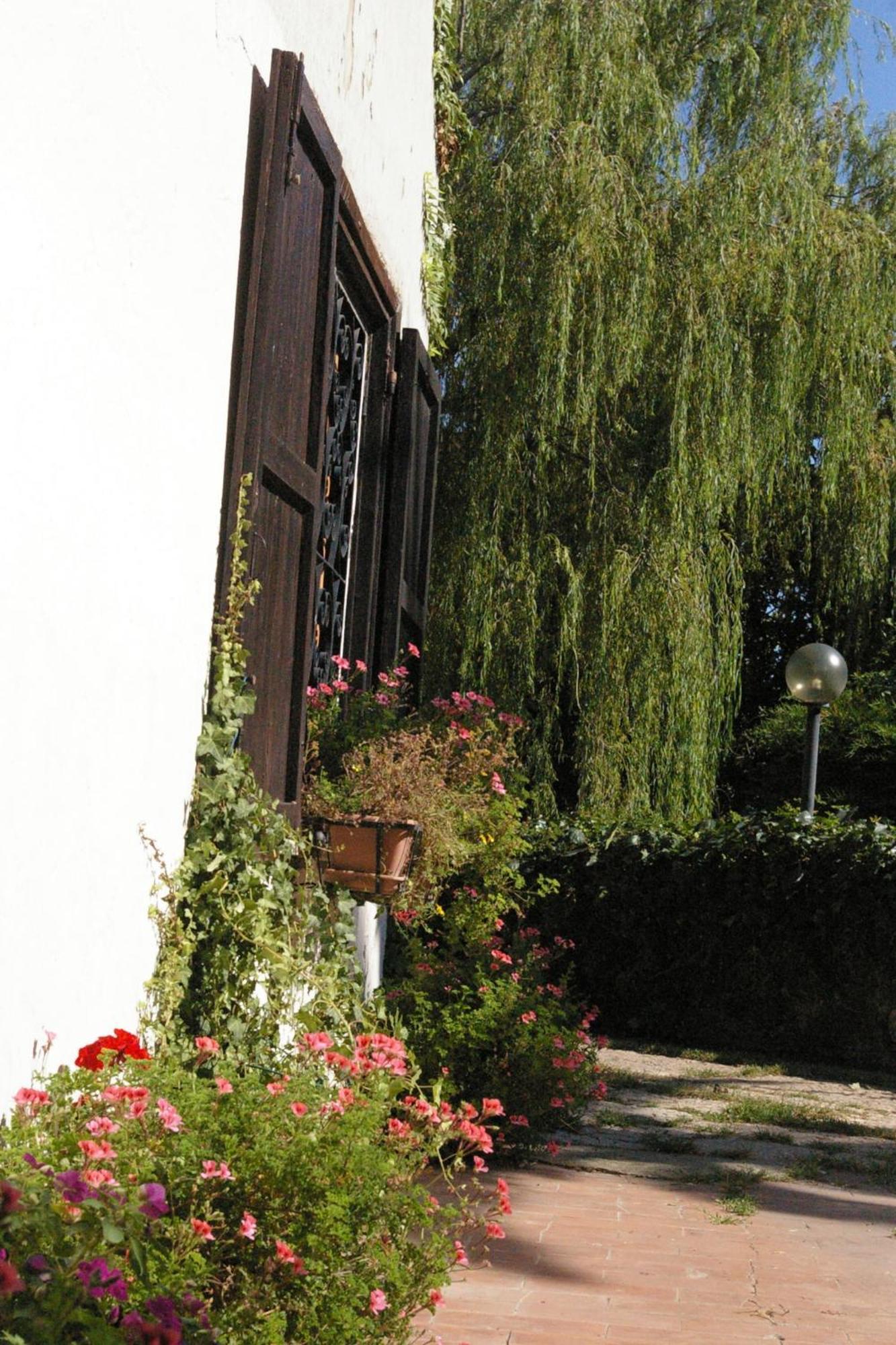 B&B Villa Sans Souci Civitavecchia Buitenkant foto