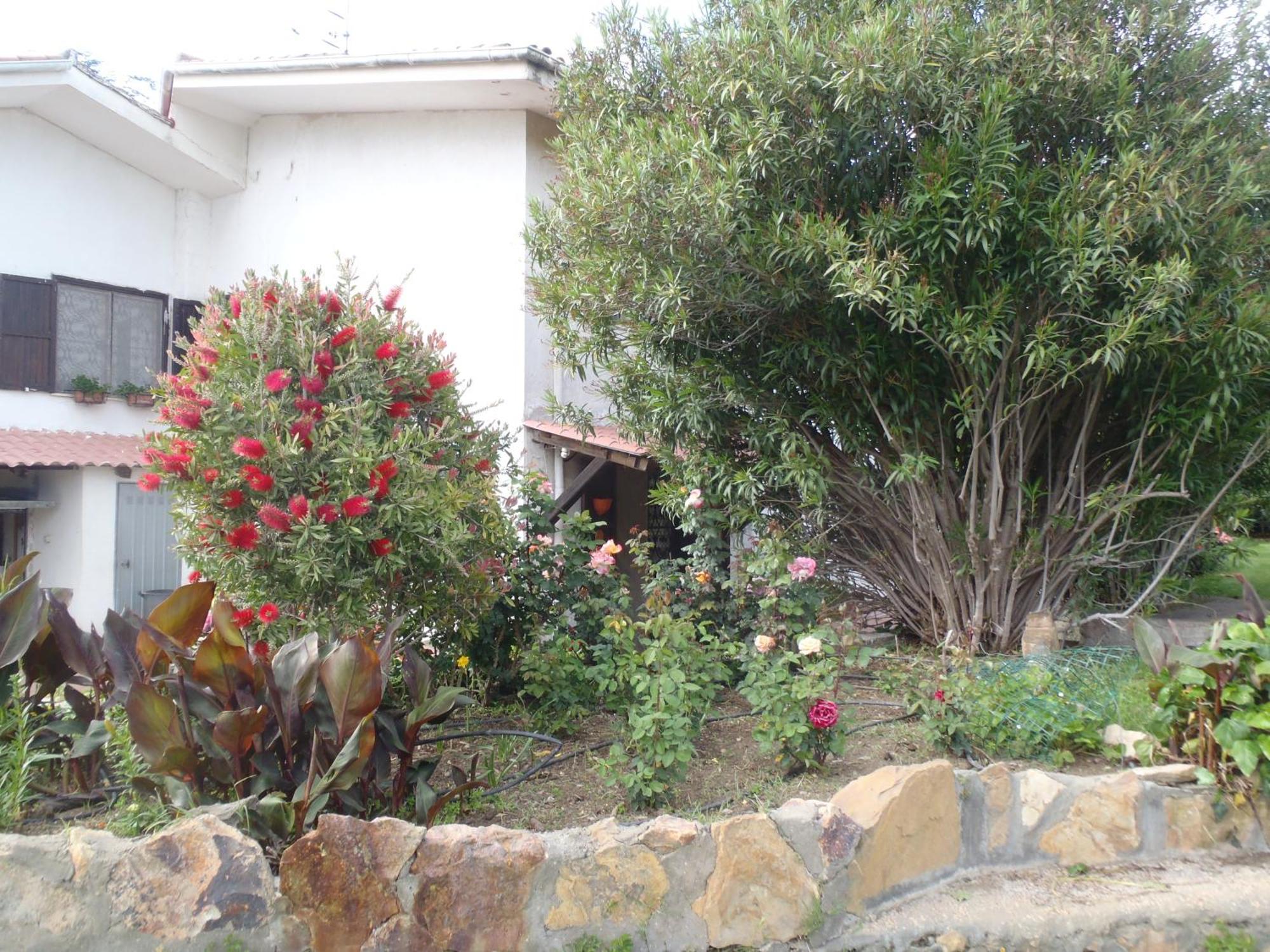 B&B Villa Sans Souci Civitavecchia Buitenkant foto