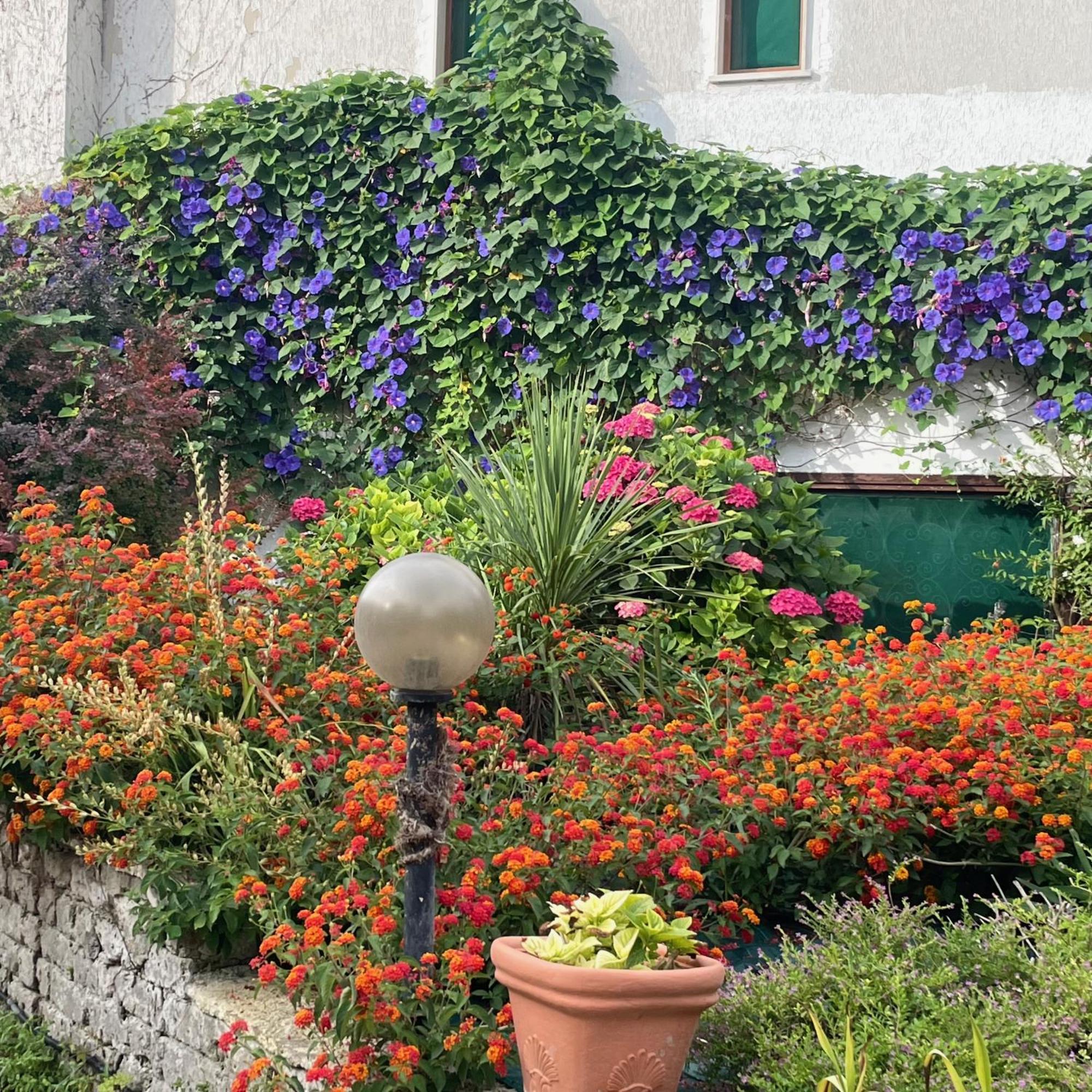 B&B Villa Sans Souci Civitavecchia Buitenkant foto