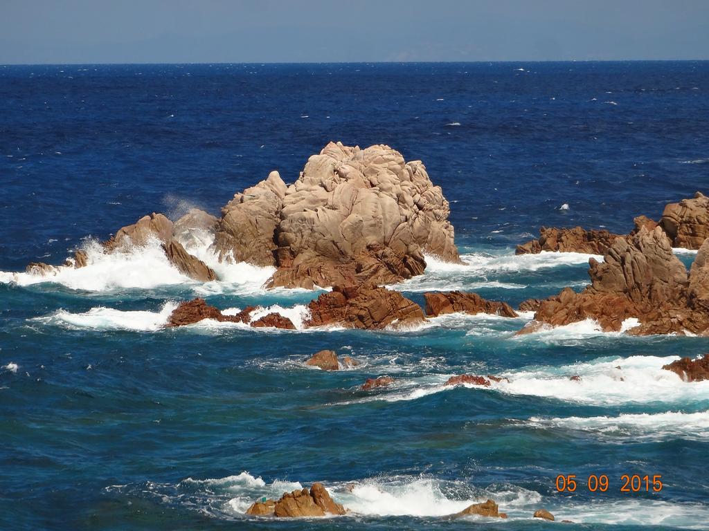 B&B Villa Sans Souci Civitavecchia Buitenkant foto