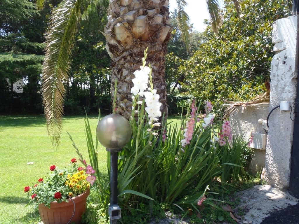B&B Villa Sans Souci Civitavecchia Buitenkant foto