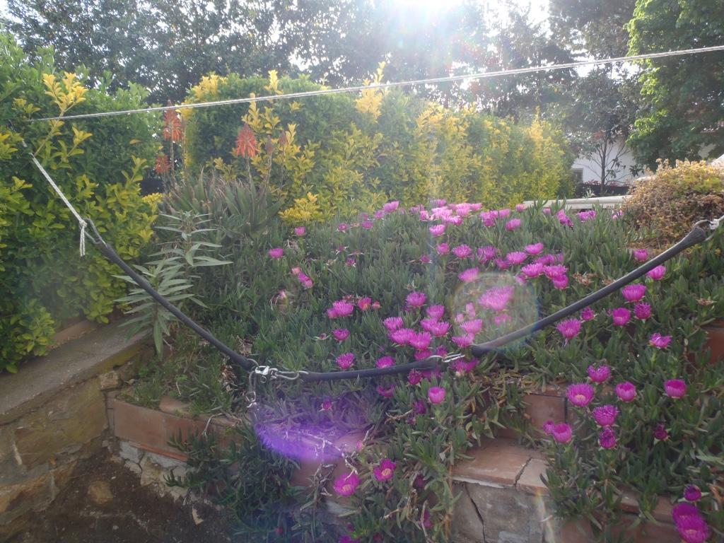 B&B Villa Sans Souci Civitavecchia Buitenkant foto