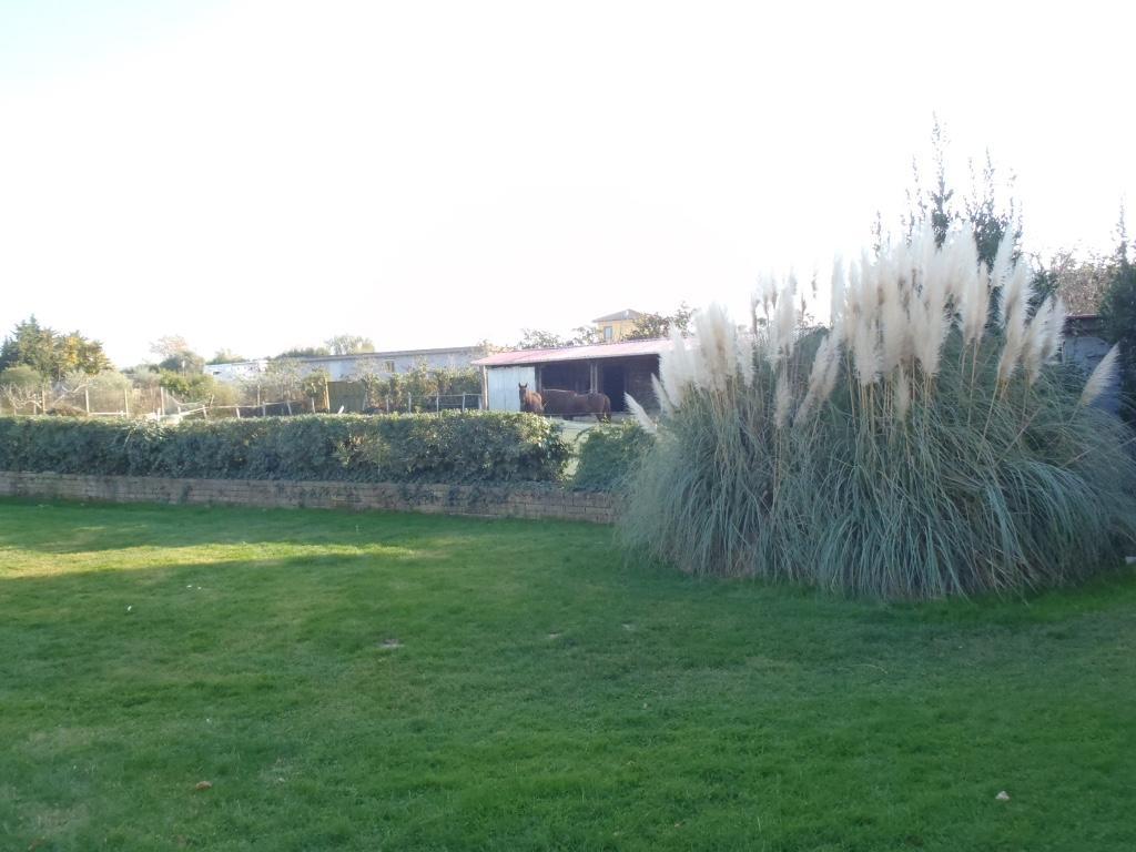 B&B Villa Sans Souci Civitavecchia Buitenkant foto