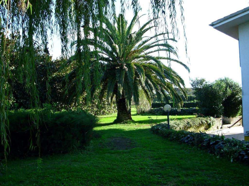 B&B Villa Sans Souci Civitavecchia Buitenkant foto