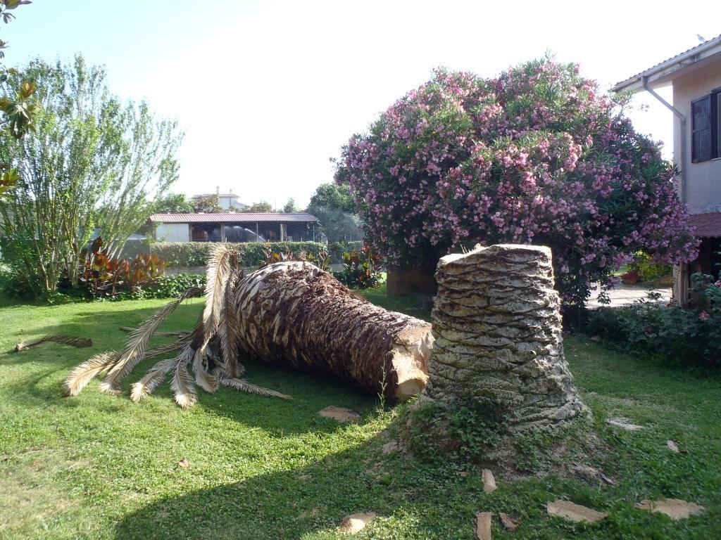 B&B Villa Sans Souci Civitavecchia Buitenkant foto